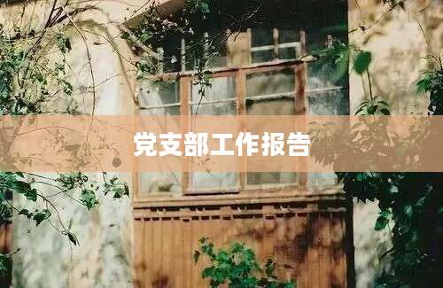 党支部工作报告