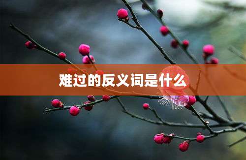 难过的反义词是什么