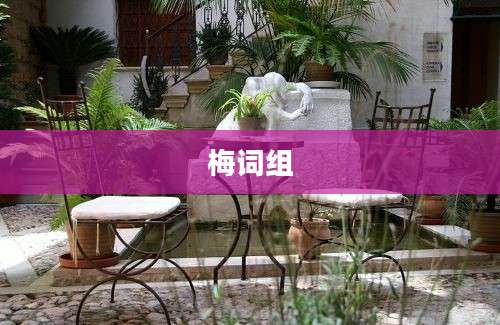 梅词组
