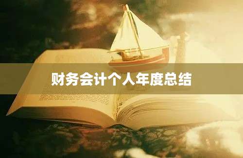 财务会计个人年度总结