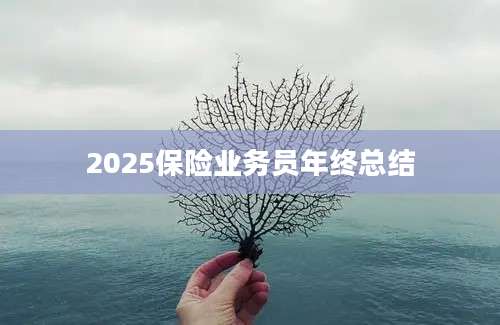 2025保险业务员年终总结