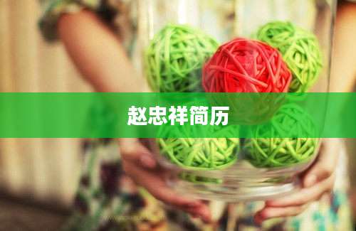 赵忠祥简历