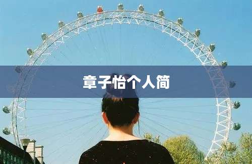 章子怡个人简