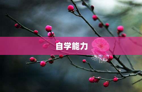 自学能力
