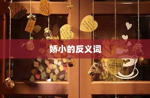 娇小的反义词