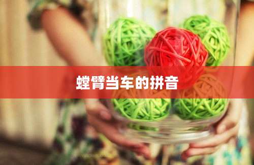 螳臂当车的拼音