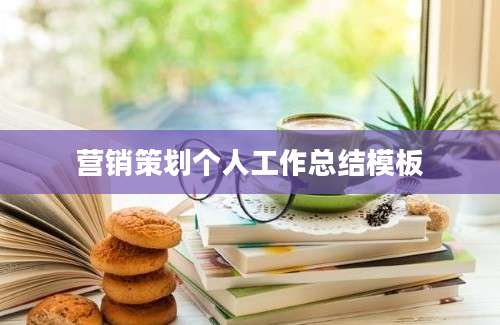 营销策划个人工作总结模板
