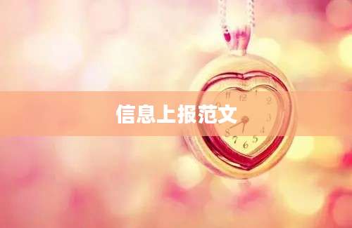 信息上报范文