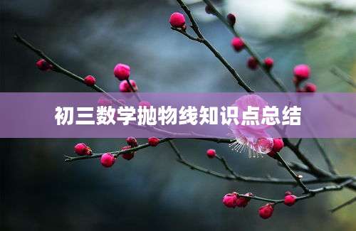 初三数学抛物线知识点总结