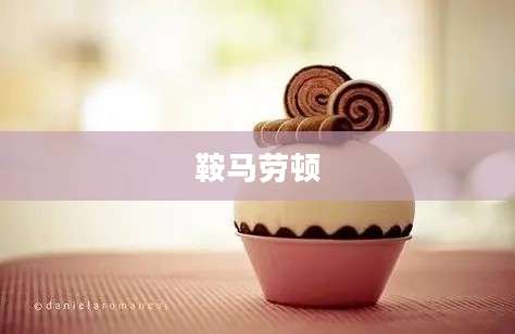 鞍马劳顿