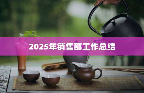2025年销售部工作总结
