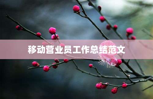 移动营业员工作总结范文