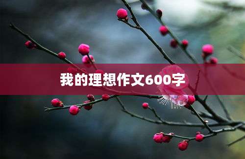 我的理想作文600字