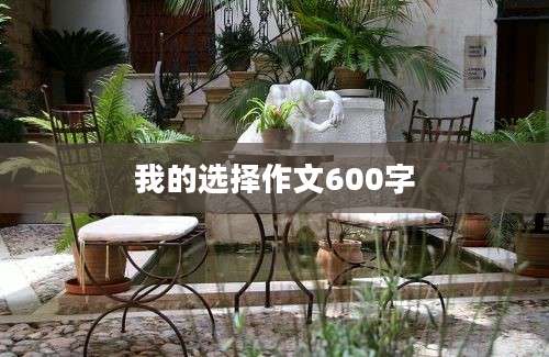 我的选择作文600字