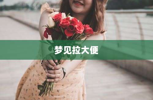 梦见拉大便