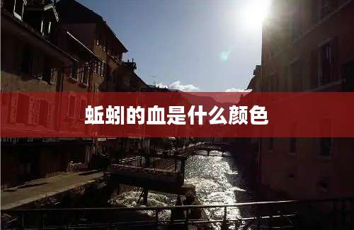 蚯蚓的血是什么颜色