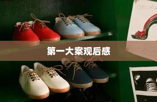 第一大案观后感