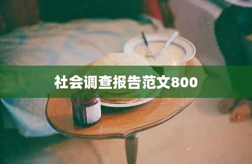 社会调查报告范文800