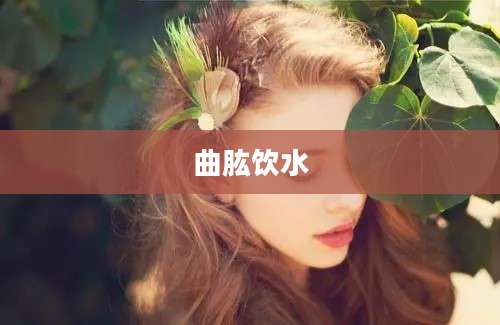 曲肱饮水