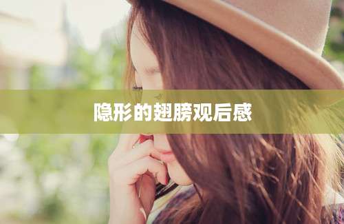 隐形的翅膀观后感