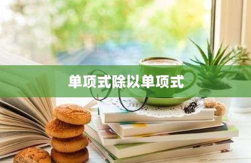 单项式除以单项式