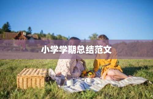 小学学期总结范文