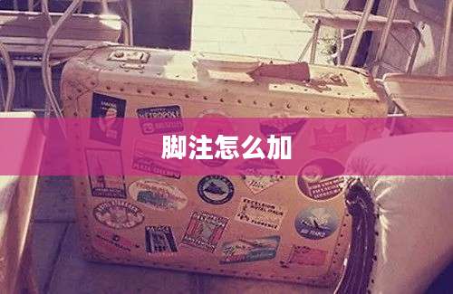 脚注怎么加
