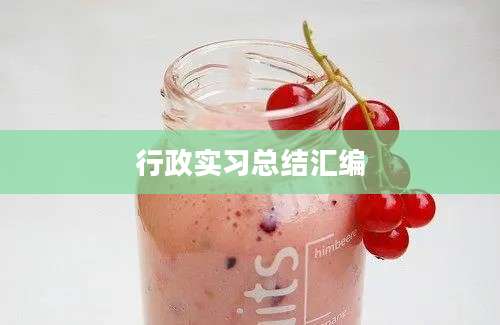 行政实习总结汇编