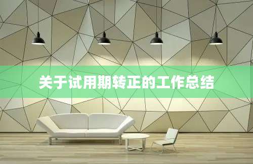关于试用期转正的工作总结