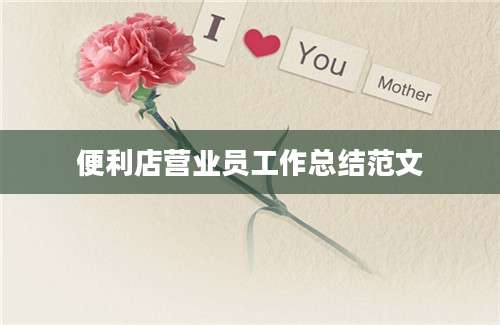 便利店营业员工作总结范文