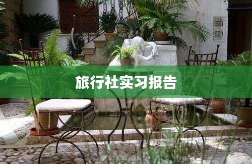 旅行社实习报告