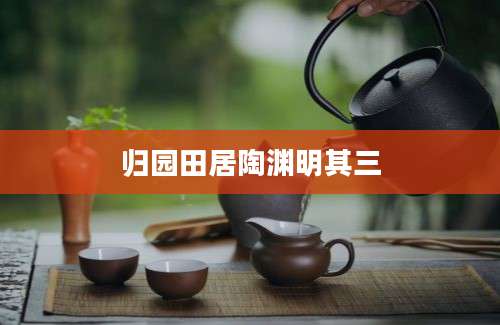 归园田居陶渊明其三