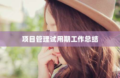 项目管理试用期工作总结