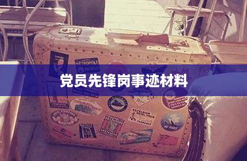 党员先锋岗事迹材料