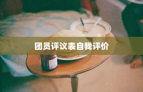 团员评议表自我评价