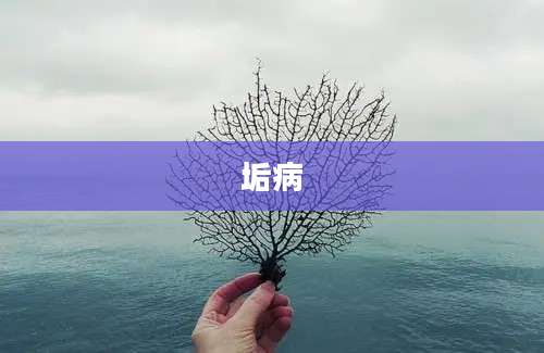 垢病