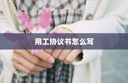 用工协议书怎么写