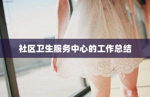 社区卫生服务中心的工作总结
