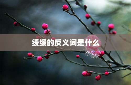 缓缓的反义词是什么