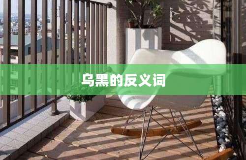 乌黑的反义词