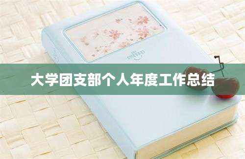 大学团支部个人年度工作总结