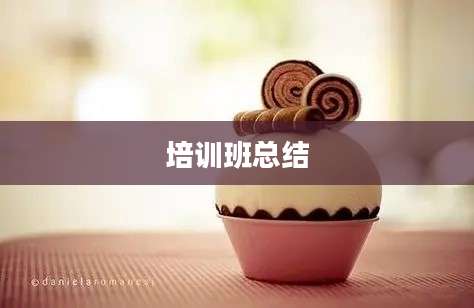 培训班总结