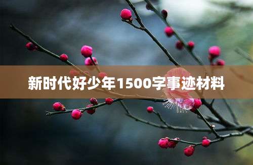 新时代好少年1500字事迹材料