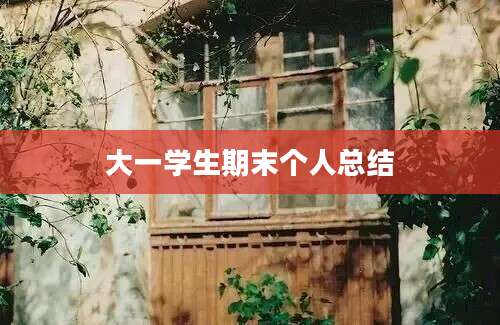 大一学生期末个人总结