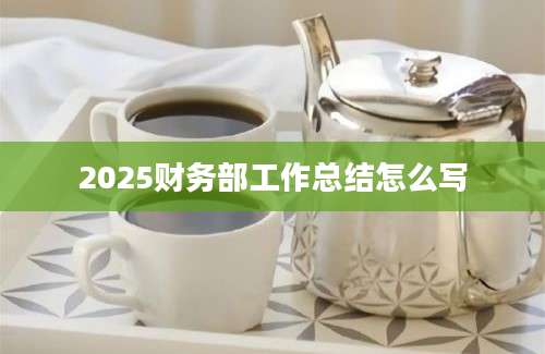 2025财务部工作总结怎么写
