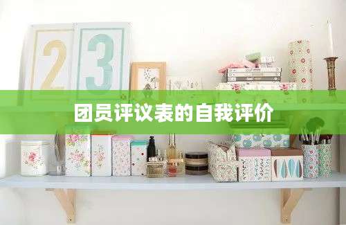团员评议表的自我评价