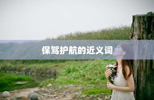 保驾护航的近义词