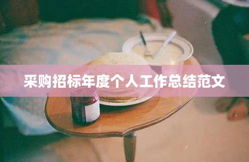 采购招标年度个人工作总结范文