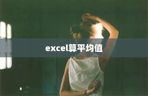 excel算平均值