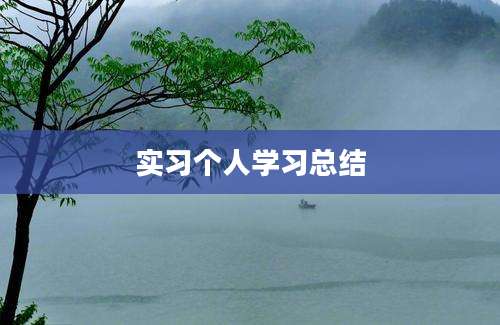 实习个人学习总结
